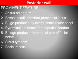 External &middle ear anatomy | PDF