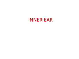 INNER EAR
 