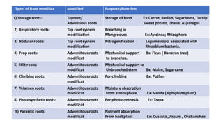 Modified Roots Types EXTERNAL MORPHOLOGY FROM BIOLOGY SELF PREPARED PLUS PYQ FROM NCERT AND ...