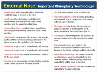 Transfixation Incision Comprehensive Anatomy and Terminology of the External Nose for Medical ...