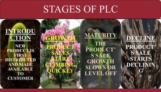 STAGES OF PLC
INTRODU
CTION
NEW
PRODUCT IS
FIRST
DISTRIBUTED
AND MADE
AVAILABLE
TO
CUSTOMER
GROWTH
PRODUCT
SALES
START
CLIMBING
QUICKLY
MATURITY
THE
PRODUCT’
S SALE
GROWTH
SLOWS OR
LEVEL OFF
DECLINE
PRODUCT’
S SALE
STARTS
DECLININ
G
 