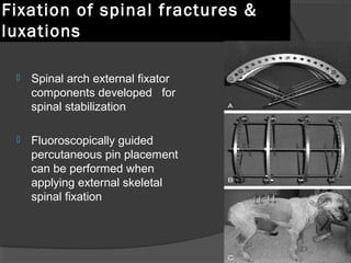 Fixation of spinal fractures & luxations Spinal arch external fixator components developed  for  spinal stabilization  Fluoroscopically guided percutaneous pin placement can be performed when applying external skeletal spinal fixation 