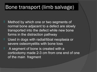 Bone transport (limb salvage) Method by which one or two segments of normal bone adjacent to a defect are slowly transported into the defect while new bone forms in the distraction pathway  Used in dogs with radial/tibial neoplasia or severe osteomyelitis with bone loss  A segment of bone is created with a corticotomy made 2-3 cm from one end of one of the main  fragment   