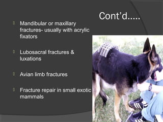 Cont’d….. Mandibular or maxillary  fractures- usually with acrylic fixators Lubosacral fractures & luxations  Avian limb fractures Fracture repair in small exotic mammals  