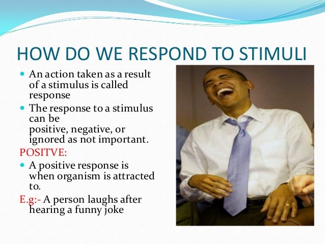 External stimuli final presentation by zahid bhatti