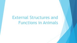 External Structures and
Functions in Animals
 