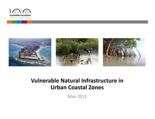 Vulnerable Natural Infrastructure in 
Urban Coastal Zones 
May 2013 
 