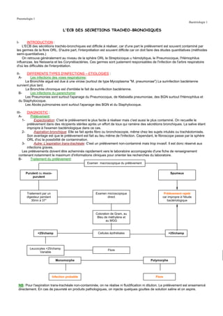 Pneumologie 1
                                                                                                                         Bactériologie 1

                                  L'ECB DES SECRETIONS TRACHEO-BRONCHIQUES


I-     INTRODUCTION :
    L'ECB des sécrétions trachéo-bronchiques est difficile à réaliser, car d'une part le prélèvement est souvent contaminé par
les germes de la flore ORL. D'autre part, l'interprétation est souvent difficile car on doit faire des études quantitatives (méthodes
semi-quantitatives.)
    On retrouve généralement au niveau de la sphère ORL le Streptocoque α hémolytique, le Pneumocoque, l'Hémophilus
influenzae, les Neisseria et les Corynébactéries. Ces germes sont justement responsables de l'infection de l'arbre respiratoire
d'où les difficultés de l'interprétation.

II-    DIFFERENTS TYPES D'INFECTIONS – ETIOLOGIES :
  A-     Les infections des voies respiratoires:
      La Bronchite aiguë est due à une virose (surtout de type Mycoplasma "M. pneumoniae") La surinfection bactérienne
survient plus tard.
      La Bronchite chronique est d'emblée le fait de surinfection bactérienne.
 B-      Les infections du parenchyme:
      Les Pneumonies sont surtout l'apanage du Pneumocoque, de Klebsiella pneumoniae, des BGN surtout l'Hémophilus et
 du Staphylocoque.
      Les Abcès pulmonaires sont surtout l'apanage des BGN et du Staphylocoque.

III-   DIAGNOSTIC :
  A-      Prélèvement:
   1-       Expectoration: C'est le prélèvement le plus facile à réaliser mais c'est aussi le plus contaminé. On recueille le
       prélèvement dans des récipients stériles après un effort de toux qui ramène des sécrétions bronchiques. La salive étant
       impropre à l'examen bactériologique dans ce cas.
    2-      Aspiration bronchique: Elle se fait après fibro ou bronchoscopie, même chez les sujets intubés ou trachéotomisés.
       Son avantage est que le prélèvement est fait au lieu même de l'infection. Cependant, le fibroscope passe par la sphère
       ORL d'où la possibilité de contamination.
    3-      Autre: L'aspiration trans-trachéale: C'est un prélèvement non-contaminé mais trop invasif. Il est donc réservé aux
       infections graves.
    Les prélèvements doivent être acheminés rapidement vers le laboratoire accompagnés d'une fiche de renseignement
 contenant notamment le maximum d'informations cliniques pour orienter les recherches du laboratoire.
 B-       Traitement du prélèvement:
                                                 Examen macroscopique du prélèvement


       Purulent ou muco-                                                                                   Spumeux
           purulent




       Traitement par un                               Examen microscopique                           Prélèvement rejeté
       digesteur pendant                                      direct                                 car impropre à l'étude
          30mn à 37°                                                                                    bactériologique



                                                       Coloration de Gram, au
                                                        Bleu de méthylène et
                                                              au MGG



                <25/champ                               Cellules épithéliales                             >25/champ




         Leucocytes >25/champ
                                                               Flore
               Variable

                             Monomorphe                                                      Polymorphe




                           Infection probable                                                    Flore

 NB: Pour l'aspiration trans-trachéale non-contaminée, on ne réalise ni fluidification ni dilution. Le prélèvement est ensemencé
 directement. En cas de pauvreté en produits pathologiques, on injecte quelques gouttes de solution saline et on aspire.
 