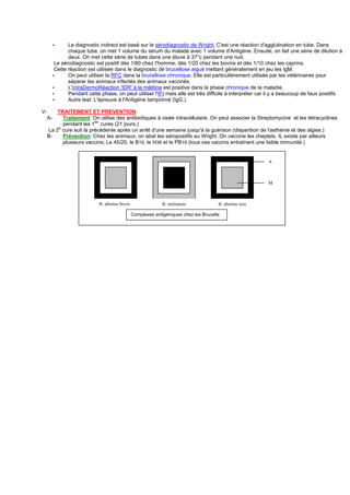 ∗      Le diagnostic indirect est basé sur le sérodiagnostic de Wright; C'est une réaction d'agglutination en tube. Dans
              chaque tube, on met 1 volume du sérum du malade avec 1 volume d'Antigène. Ensuite, on fait une série de dilution à
              deux. On met cette série de tubes dans une étuve à 37°c pendant une nuit.
        Le sérodiagnostic est positif dés 1/80 chez l'homme, dés 1/20 chez les bovins et dés 1/10 chez les caprins.
        Cette réaction est utilisée dans le diagnostic de brucellose aiguë mettant généralement en jeu les IgM.
       ∗      On peut utiliser la RFC dans la brucellose chronique. Elle est particulièrement utilisée par les vétérinaires pour
              séparer les animaux infectés des animaux vaccinés.
       ∗      L'IntraDermoRéaction 'IDR' à la mélitine est positive dans la phase chronique de la maladie.
       ∗      Pendant cette phase, on peut utiliser l'IFI mais elle est très difficile à interpréter car il y a beaucoup de faux positifs
       ∗      Autre test: L'épreuve à l'Antigène tamponné (IgG.)

V-       TRAITEMENT ET PREVENTION:
     A-    Traitement: On utilise des antibiotiques à visée intracellulaire. On peut associer la Streptomycine et les tétracyclines
           pendant les 1es cures (21 jours.)
     La 2e cure suit la précédente après un arrêt d'une semaine jusqu'à la guérison (disparition de l'asthénie et des algies.)
     B-    Prévention: Chez les animaux, on abat les séropositifs au Wright. On vaccine les cheptels. IL existe par ailleurs
           plusieurs vaccins; Le 45/20, le B19, le H38 et le PB19 (tous ces vaccins entraînent une faible immunité.)


                                                                                                       A



                                                                                                       M



                           B. abortus bovis                 B. militansis            B. abortus suis

                                              Complexes antigéniques chez les Brucella
 