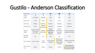 Gustilo - Anderson Classification
 