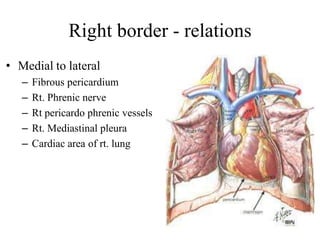 Ext features of heart | PDF