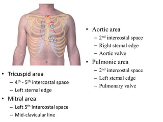 Ext features of heart | PDF
