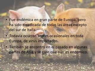 • Fue endémica en gran parte de Europa, pero
ha sido erradicada de todas las áreas excepto
del sur de Italia.
• Todavía ocurren brotes ocasionales en toda
Europa, de virus importados.
• También se encontró en el pasado en algunas
partes de Asia y se cree que aún es endémico.

 