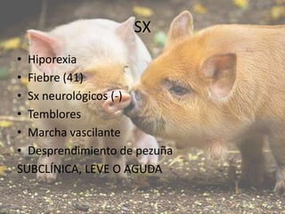 SX
• Hiporexia
• Fiebre (41)
• Sx neurológicos (-)
• Temblores
• Marcha vascilante
• Desprendimiento de pezuña
SUBCLÍNICA, LEVE O AGUDA

 