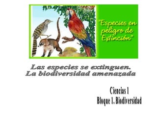 Las especies se extinguen. La biodiversidad amenazada Ciencias 1 Bloque 1. Biodiversidad 