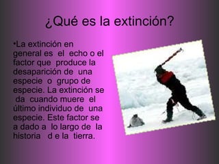 ¿Qué es la extinción? ,[object Object]