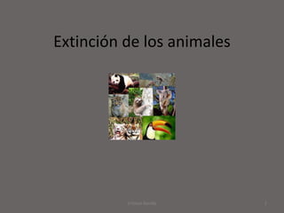 Extinción de los animales




          Cristian Bonilla   1
 