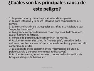 ¿Cuáles son las principales causa de
             este peligro?
• 1. La persecución y matanza por el valor de sus pieles.
  2. La caza intensiva y la pesca intensiva para comercializar sus
  carnes.
  3. La contaminación de las especies extrañas a su hábitat, o sea
  "especies invasoras".
  4. Los grandes emprendimientos como represas, hidrobias, etc.,
  que el hombre construye.
  5. Pérdida de petróleo, que contaminan los mares.
  6. Accidentes naturales como la "muerte gris", erupción de los
  volcanes que lanza a la atmósfera nubes de cenizas y gases con alto
  contenido de azufre.
  7. La acción de otros contaminantes (yacimientos de uranio,
  polonio, radio y de otros elementos radioactivos)
  8. Accidentes varios, intencionales o no, como los incendios de
  bosques, choque de barcos, etc.


                              cristhian bobnilla                        3
 