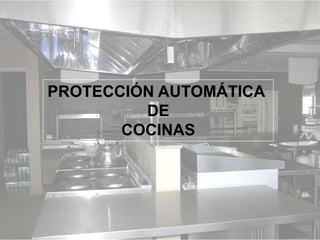 CURSO SOBRE PROTECCIÓN DE COCINAS INDUSTRIALES ,[object Object]