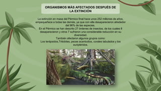 Permicox EXTINCIÓN Masiva del permico. Biologia (3) (1).pptx