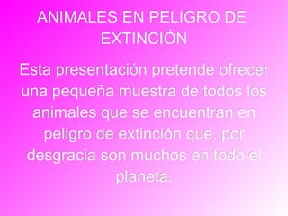 ANIMALES EN PELIGRO DE  EXTINCIÓN Esta presentación pretende ofrecer una pequeña muestra de todos los animales que se encuentran en peligro de extinción que, por desgracia son muchos en todo el planeta. 