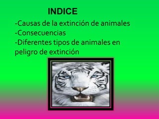 -Causas de la extinción de animales
-Consecuencias
-Diferentes tipos de animales en
peligro de extinción
INDICE
 