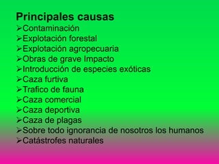Principales causas
Contaminación
Explotación forestal
Explotación agropecuaria
Obras de grave Impacto
Introducción de especies exóticas
Caza furtiva
Trafico de fauna
Caza comercial
Caza deportiva
Caza de plagas
Sobre todo ignorancia de nosotros los humanos
Catástrofes naturales
 