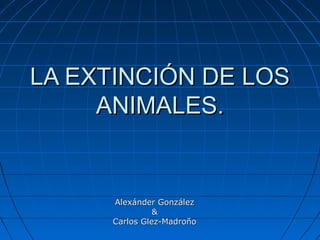 LA EXTINCIÓN DE LOSLA EXTINCIÓN DE LOS
ANIMALES.ANIMALES.
Alexánder GonzálezAlexánder González
&&
Carlos Glez-MadroñoCarlos Glez-Madroño
 