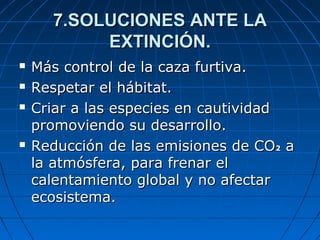 7.SOLUCIONES ANTE LA7.SOLUCIONES ANTE LA
EXTINCIÓN.EXTINCIÓN.
 Más control de la caza furtiva.Más control de la caza furtiva.
 Respetar el hábitat.Respetar el hábitat.
 Criar a las especies en cautividadCriar a las especies en cautividad
promoviendo su desarrollo.promoviendo su desarrollo.
 Reducción de las emisiones de COReducción de las emisiones de CO22 aa
la atmósfera, para frenar ella atmósfera, para frenar el
calentamiento global y no afectarcalentamiento global y no afectar
ecosistema.ecosistema.
 