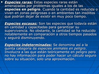  Especies raras:Especies raras: Estas especies raras estánEstas especies raras están
amenazadas por problemas iguales a los de lasamenazadas por problemas iguales a los de las
especies en peligroespecies en peligro. Cuando la cantidad es reducida o. Cuando la cantidad es reducida o
viven en zonas peligrosas o en ambientes tan insólitosviven en zonas peligrosas o en ambientes tan insólitos
que podrían dejar de existir en muy poco tiempo.que podrían dejar de existir en muy poco tiempo.
Especies escasas:Especies escasas: Son las especies que todavía estánSon las especies que todavía están
en cantidad y capacitadas para garantizar suen cantidad y capacitadas para garantizar su
supervivencia. No obstante, la cantidad se ha reducidosupervivencia. No obstante, la cantidad se ha reducido
notablemente en comparación a otros tiempos pasadosnotablemente en comparación a otros tiempos pasados
y seguirá disminuyendo.y seguirá disminuyendo.
Especies indeterminadas:Especies indeterminadas: Se denomina así a laSe denomina así a la
quinta categoría dequinta categoría de especies animales en peligroespecies animales en peligro..
Involucra a las que están teóricamente en peligro peroInvolucra a las que están teóricamente en peligro pero
no hay información para poder hacer un cálculo segurono hay información para poder hacer un cálculo seguro
sobre su situación, solo una aproximación.sobre su situación, solo una aproximación.
 