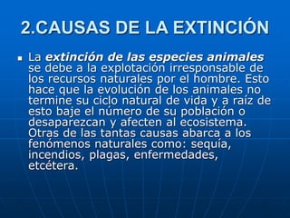 2.CAUSAS DE LA EXTINCIÓN
 La extinción de las especies animales
se debe a la explotación irresponsable de
los recursos naturales por el hombre. Esto
hace que la evolución de los animales no
termine su ciclo natural de vida y a raíz de
esto baje el número de su población o
desaparezcan y afecten al ecosistema.
Otras de las tantas causas abarca a los
fenómenos naturales como: sequía,
incendios, plagas, enfermedades,
etcétera.
 