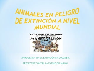 ANIMALES EN VIA DE EXTINCIÓN EN COLOMBIA

 PROYECTOS CONTRA LA EXTINCIÓN ANIMAL
 