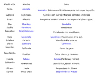 Clasificación      Nombre                                    Notas

   Reino          Animalia
                                Animales: Sistemas multicelulares que se nutren por ingestión.

 Subreino        Eumetazoa           Animales con cuerpo integrado por lados simétricos

   Rama            Bilateria      Cuerpo con simetría bilateral con respecto al plano sagital.

    Filo          Chordata                                 Cordados
  Subfilo         Vertebrata                             Vertebrados
Superclase      Gnathostomata
                                                Vertebrados con mandíbulas.

   Clase          Mammalia                   Mamíferos: Poseen pelos en la piel.
 Subclase          Eutheria                        Mamíferos Placentarios
   Orden          Carnivora                               Carnívoros
 Suborden
                  Feliformia                            Forma de gatos

Superfamilia
                   Feloidea                       Gatos, civetas, y parientes

  Familia          Felidae                        Félidos (Panteras y Felinos)
Subfamilia
                 Pantherinae                    Las Panteras, félidos mayores.

  Género            Uncia                           Leopardo de las Nieves
  Especie        Uncia uncia                        Leopardo de las Nieves
 