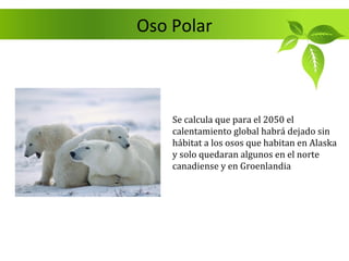 Oso Polar



    Se calcula que para el 2050 el
    calentamiento global habrá dejado sin
    hábitat a los osos que habitan en Alaska
    y solo quedaran algunos en el norte
    canadiense y en Groenlandia
 