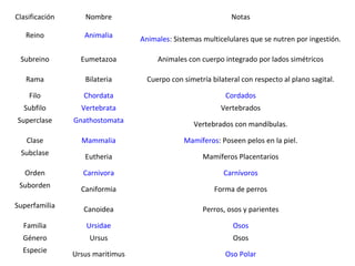 Clasificación      Nombre                                      Notas

   Reino           Animalia       Animales: Sistemas multicelulares que se nutren por ingestión.

 Subreino         Eumetazoa            Animales con cuerpo integrado por lados simétricos

   Rama            Bilateria        Cuerpo con simetría bilateral con respecto al plano sagital.

    Filo           Chordata                                  Cordados
  Subfilo         Vertebrata                               Vertebrados
Superclase      Gnathostomata                     Vertebrados con mandíbulas.

   Clase          Mammalia                     Mamíferos: Poseen pelos en la piel.
 Subclase          Eutheria                          Mamíferos Placentarios

   Orden           Carnivora                                Carnívoros
 Suborden         Caniformia                             Forma de perros

Superfamilia       Canoidea                          Perros, osos y parientes

  Familia          Ursidae                                     Osos
  Género            Ursus                                      Osos
  Especie       Ursus maritimus                              Oso Polar
 
