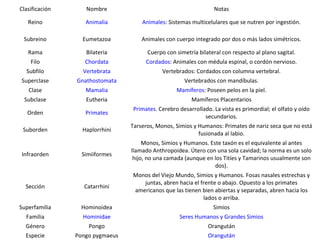 Clasificación      Nombre                                         Notas

   Reino           Animalia          Animales: Sistemas multicelulares que se nutren por ingestión.

 Subreino         Eumetazoa          Animales con cuerpo integrado por dos o más lados simétricos.

   Rama            Bilateria           Cuerpo con simetría bilateral con respecto al plano sagital.
    Filo           Chordata           Cordados: Animales con médula espinal, o cordón nervioso.
  Subfilo         Vertebrata                 Vertebrados: Cordados con columna vertebral.
Superclase      Gnathostomata                        Vertebrados con mandíbulas.
   Clase           Mamalia                        Mamíferos: Poseen pelos en la piel.
 Subclase          Eutheria                             Mamíferos Placentarios
                                 Primates. Cerebro desarrollado. La vista es primordial; el olfato y oído
   Orden           Primates
                                                             secundarios.
                                 Tarseros, Monos, Simios y Humanos: Primates de nariz seca que no está
 Suborden         Haplorrhini
                                                           fusionada al labio.
                                      Monos, Simios y Humanos. Este taxón es el equivalente al antes
                                 llamado Anthropoidea. Útero con una sola cavidad; la norma es un solo
Infraorden        Simiiformes
                                  hijo, no una camada (aunque en los Titíes y Tamarinos usualmente son
                                                                 dos).
                                 Monos del Viejo Mundo, Simios y Humanos. Fosas nasales estrechas y
                                    juntas, abren hacia el frente o abajo. Opuesto a los primates
  Sección         Catarrhini
                                 americanos que las tienen bien abiertas y separadas, abren hacia los
                                                            lados o arriba.
Superfamilia     Hominoidea                                      Simios
  Familia         Hominidae                         Seres Humanos y Grandes Simios
  Género            Pongo                                      Orangután
  Especie       Pongo pygmaeus                                 Orangután
 