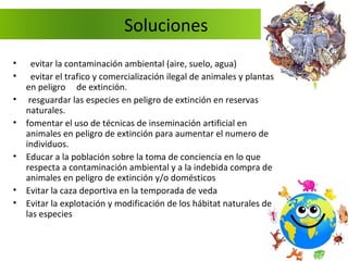 Soluciones
•     evitar la contaminación ambiental (aire, suelo, agua)
•     evitar el trafico y comercialización ilegal de animales y plantas
    en peligro de extinción.
•    resguardar las especies en peligro de extinción en reservas
    naturales.
•   fomentar el uso de técnicas de inseminación artificial en
    animales en peligro de extinción para aumentar el numero de
    individuos.
•   Educar a la población sobre la toma de conciencia en lo que
    respecta a contaminación ambiental y a la indebida compra de
    animales en peligro de extinción y/o domésticos
•   Evitar la caza deportiva en la temporada de veda
•   Evitar la explotación y modificación de los hábitat naturales de
    las especies
 