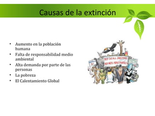 Causas de la extinción


• Aumento en la población
  humana
• Falta de responsabilidad medio
  ambiental
• Alta demanda por parte de las
  personas
• La pobreza
• El Calentamiento Global
 