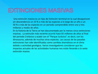 Una extinción masiva es un tipo de Extinción terminal en la cual desaparecen 
sin descendencia un 10 % o más de las especies a lo largo de un año o un 
50 % o más de las especies en un periodo comprendido entre uno y tres 
millones y medio de años. 
En la historia de la Tierra se han documentado por lo menos cinco extinciones 
masivas. La extinción más reciente ocurrió hace 65 millones de años al final 
del periodo Cretácico y acabó con el “Parque Jurásico”, es decir, con los 
dinosauros, además de muchas otras especies. Las causas de las pasadas 
extinciones han sido identificadas como cambios dramáticos en el clima 
debido a actividad geológica. Varios investigadores consideran que los 
impactos actuales de las actividades humanas nos están llevando a la sexta 
extinción masiva. 
 