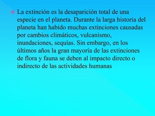  La extinción es la desaparición total de una 
especie en el planeta. Durante la larga historia del 
planeta han habido muchas extinciones causadas 
por cambios climáticos, vulcanismo, 
inundaciones, sequías. Sin embargo, en los 
últimos años la gran mayoría de las extinciones 
de flora y fauna se deben al impacto directo o 
indirecto de las actividades humanas 
 