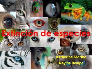 Extinción de especies  Katherine Moribe Nayibe Realpe 