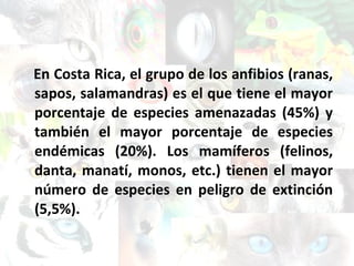En Costa Rica, el grupo de los anfibios (ranas, sapos, salamandras) es el que tiene el mayor porcentaje de especies amenazadas (45%) y también el mayor porcentaje de especies endémicas (20%). Los mamíferos (felinos, danta, manatí, monos, etc.) tienen el mayor número de especies en peligro de extinción (5,5%). 