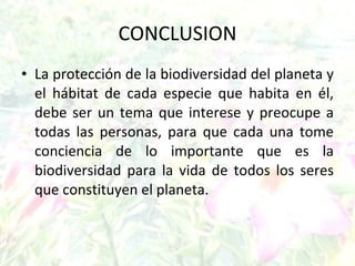 CONCLUSION La protección de la biodiversidad del planeta y el hábitat de cada especie que habita en él, debe ser un tema que interese y preocupe a todas las personas, para que cada una tome conciencia de lo importante que es la biodiversidad para la vida de todos los seres que constituyen el planeta. 