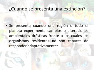 ¿Cuando se presenta una extinción? Se presenta cuando una región o todo el planeta experimenta cambios o alteraciones ambientales drásticas frente a los cuales los organismos residentes no son capaces de responder adaptativamente: 