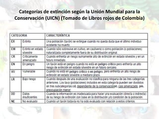 Categorías de extinción según la Unión Mundial para la Conservación (UICN) (Tomado de Libros rojos de Colombia) 