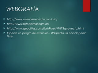 WEBGRAFÍA
 http://www.animalesenextincion.info/
 http://www.fotoanimal.com.ar/
 http://www.geocities.com/RainForest/7673/proyecto.html
 Especie en peligro de extinción - Wikipedia, la enciclopedia
libre
 