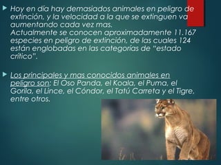  Hoy en día hay demasiados animales en peligro de
extinción, y la velocidad a la que se extinguen va
aumentando cada vez mas.
Actualmente se conocen aproximadamente 11.167
especies en peligro de extinción, de las cuales 124
están englobadas en las categorías de “estado
crítico”.
 Los principales y mas conocidos animales en
peligro son: El Oso Panda, el Koala, el Puma, el
Gorila, el Lince, el Cóndor, el Tatú Carreta y el Tigre,
entre otros.
 