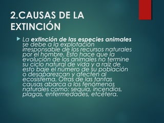 2.CAUSAS DE LA
EXTINCIÓN
 La extinción de las especies animales
se debe a la explotación
irresponsable de los recursos naturales
por el hombre. Esto hace que la
evolución de los animales no termine
su ciclo natural de vida y a raíz de
esto baje el número de su población
o desaparezcan y afecten al
ecosistema. Otras de las tantas
causas abarca a los fenómenos
naturales como: sequía, incendios,
plagas, enfermedades, etcétera.
 