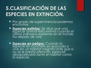 5.CLASIFICACIÓN DE LAS
ESPECIES EN EXTINCIÓN.
 Por grado de supervivencia podemos
encontrar:
 Especies extintas: Se dice que una
especie animal está extinta cuando el
último individuo existente en el mundo
ha dejado de vivir.
 Especies en peligro: Cuando la
especie en concreto es reducida o
vive en un hábitat insignificante que si
no se le presta atención especial
desaparecerá tanto el hábitat como
la especie.
 