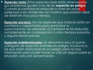  Especies raras: Estas especies raras están amenazadas
por problemas iguales a los de las especies en peligro.
Cuando la cantidad es reducida o viven en zonas
peligrosas o en ambientes tan insólitos que podrían dejar
de existir en muy poco tiempo.
Especies escasas: Son las especies que todavía están en
cantidad y capacitadas para garantizar su
supervivencia. No obstante, la cantidad se ha reducido
notablemente en comparación a otros tiempos pasados
y seguirá disminuyendo.
Especies indeterminadas: Se denomina así a la quinta
categoría de especies animales en peligro. Involucra a
las que están teóricamente en peligro pero no hay
información para poder hacer un cálculo seguro sobre su
situación, solo una aproximación.
 